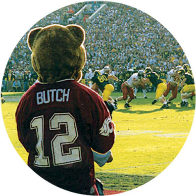 Dave Stogdill watches football game as Butch Cougar