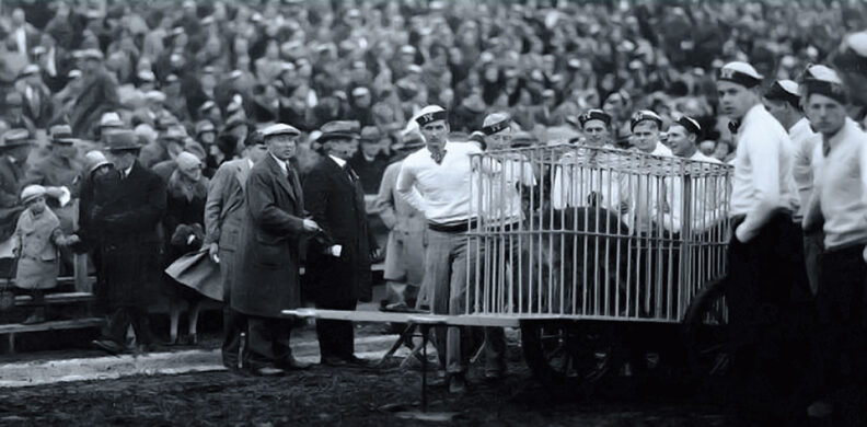 Washington State College Cougar Guard in 1927 with live Butch cougar in a cage