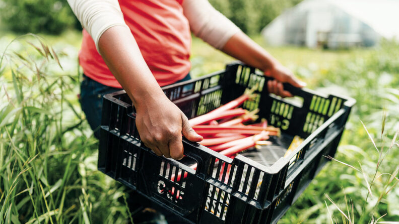 Melony Edwards carries produce from her farm
