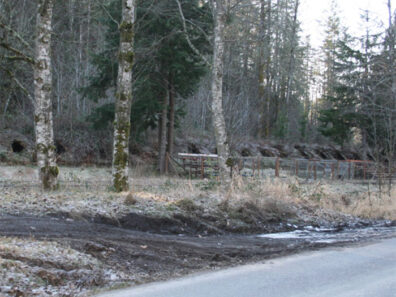 Wilkeson coke ovens in Washington state