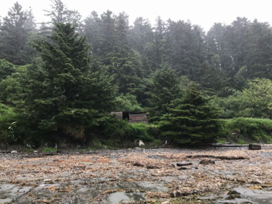 Ozette Archaeological Site