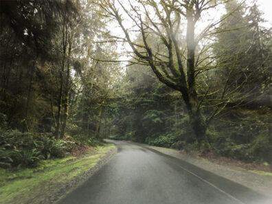 Point Defiance Park, Tacoma