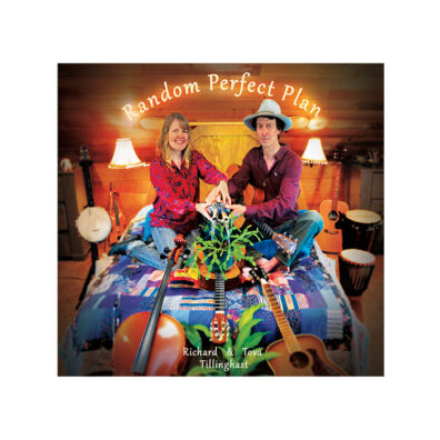 CD cover of Random Perfect Plan