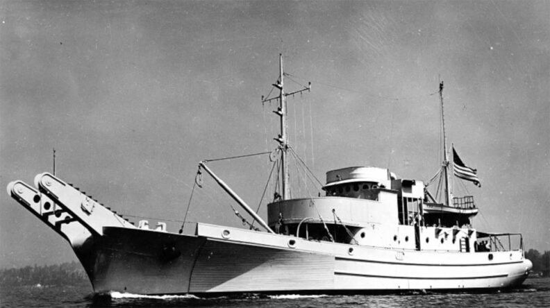 US Navy net tender USS Boxwood