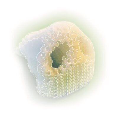 Illustration of 3D-printed skin and cartilage