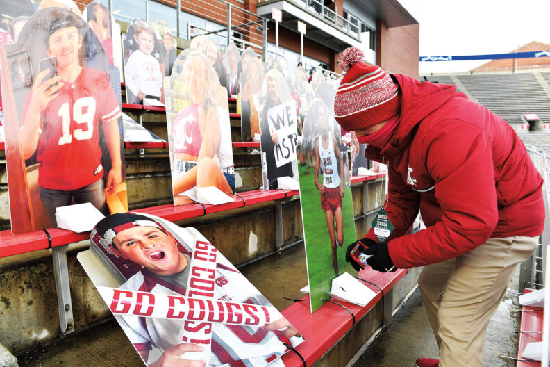 Person in WSU coat puts up cardboard cutouts of fans in 2020