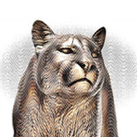 Cougar statue illustration at WSU