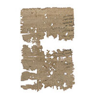 Papyrus fragment at WSU