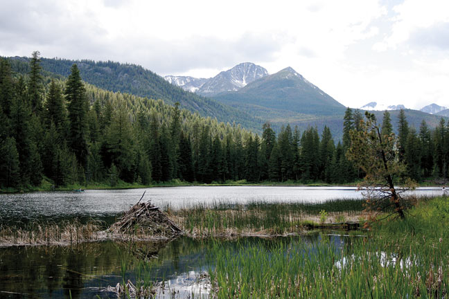 Beaver dam at Black Pine Lake with Hoodoo Peak in the distance
