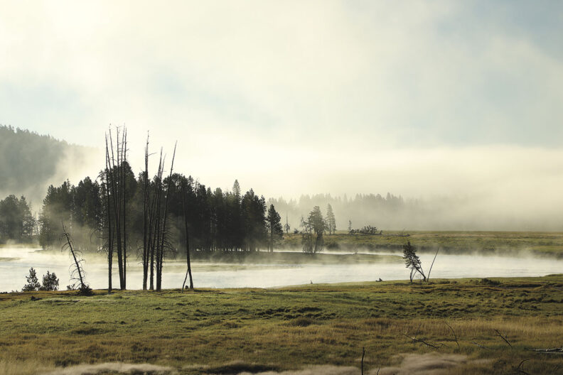 Mist rises from the Yellowstone River