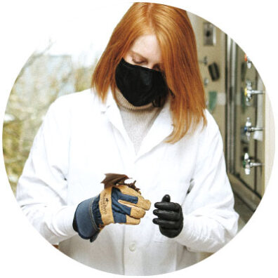 Tamasen Hayward at Washington State University Vancouver holds a brown bat in the lab