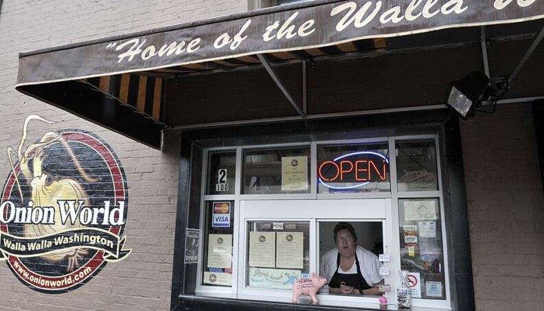 Onion World