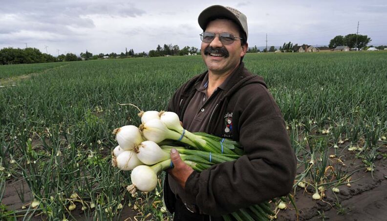 Paul Castoldi with Walla Walla Sweets