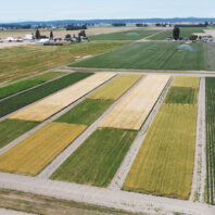 Northwestern Washington Research and Extension Center