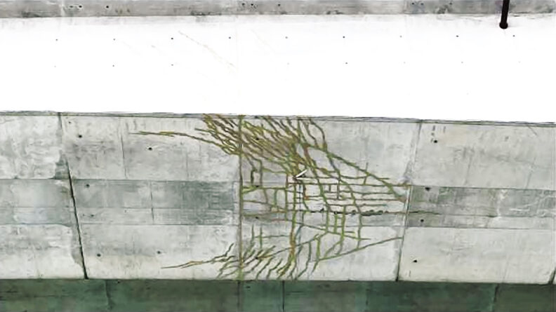 Cracks in West Seattle Bridge