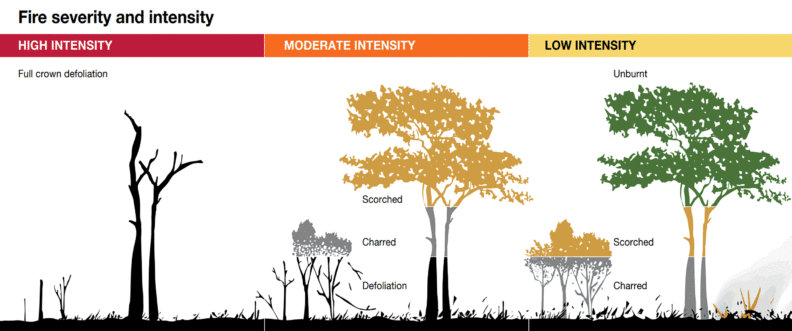 severity of fire diagram