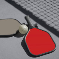 image of 2 Pickleball paddles and a pickleball
