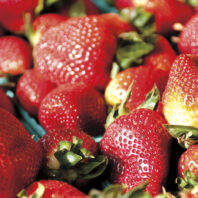 Strawberries in Pike Place Market