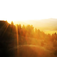 Golden sun glow around forest and field