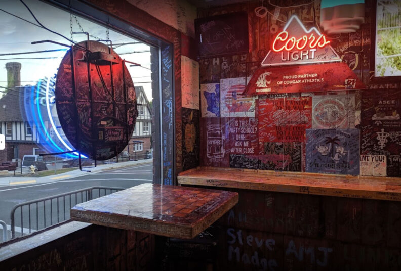 The Coug looking out