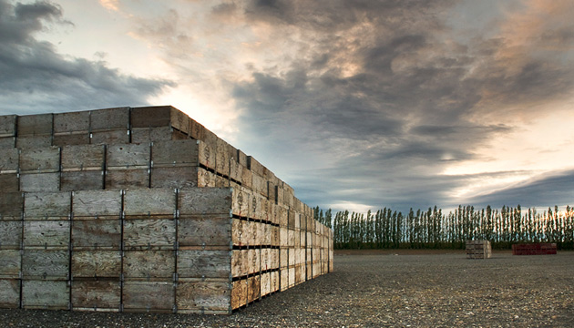 fruit boxes in orchard