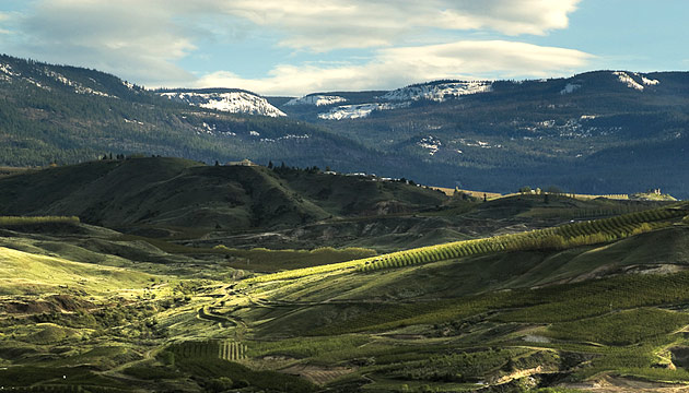 scene from Wenatchee Heights