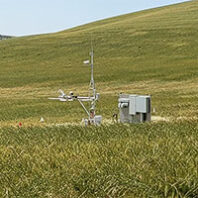 Sensor in a field at WSU's Cook Agronomy Farm