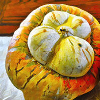 Artwork derived from photo of Latah squash