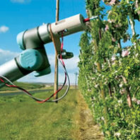 AI-driven robot scans and thins apple blossoms at Roza Experimental Farm