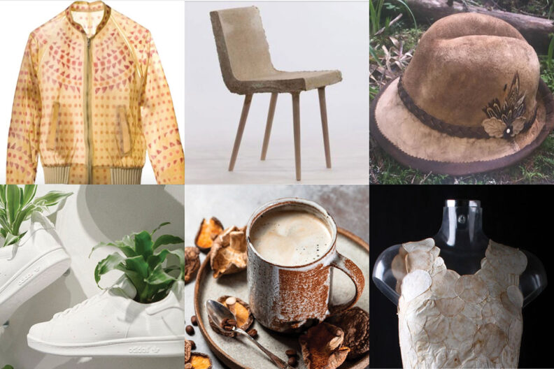 Shirt, chair, hat, shoes, cup, and dress made of mycelium