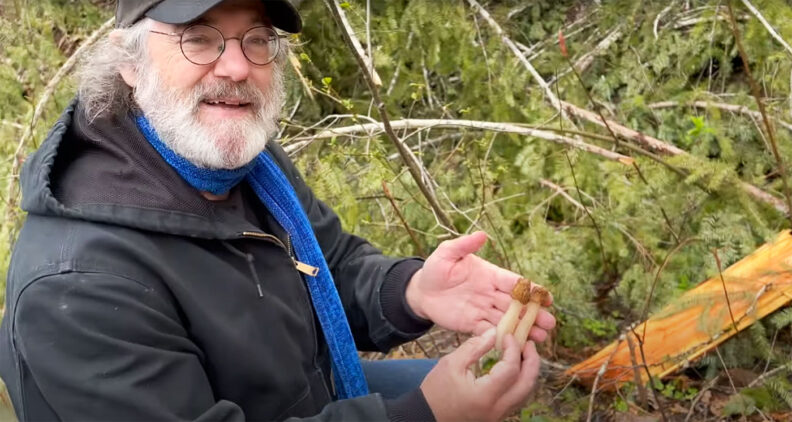 Mycologist Paul Stamets holds two mushrooms in a forest
