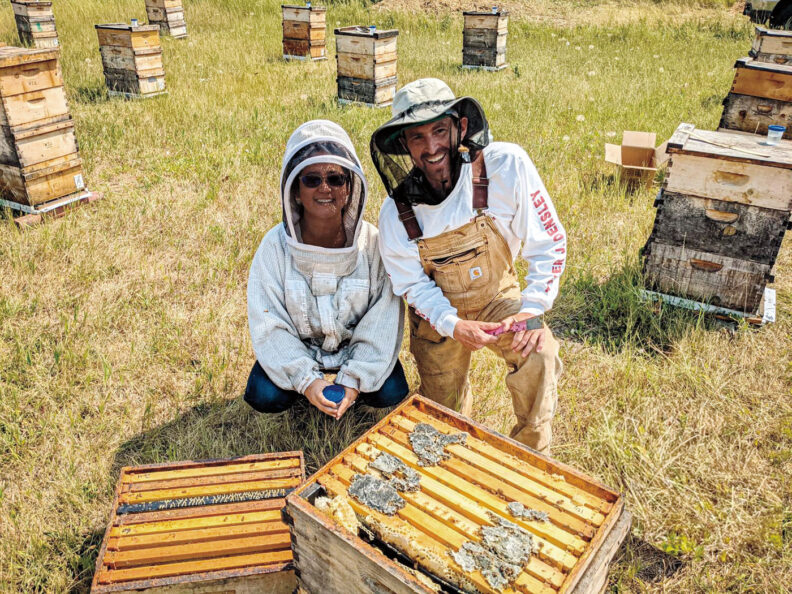 Bee researchers wearing protective gear check beehives