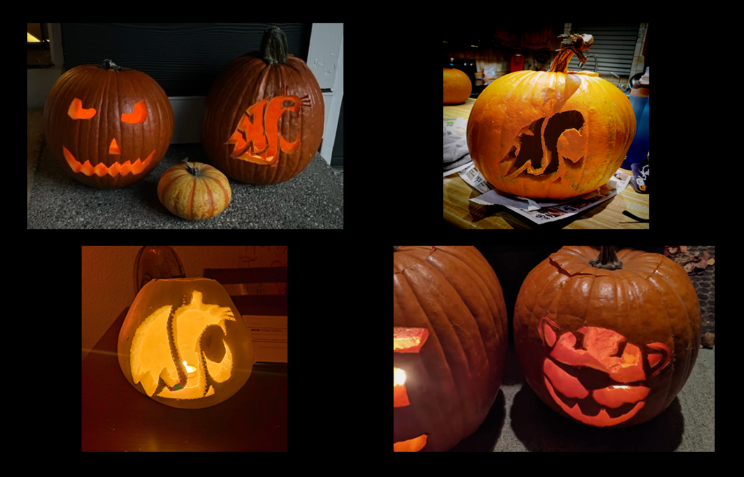 2022 Coug-o-lanterns