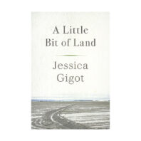 Book cover of A Little Bit of Land