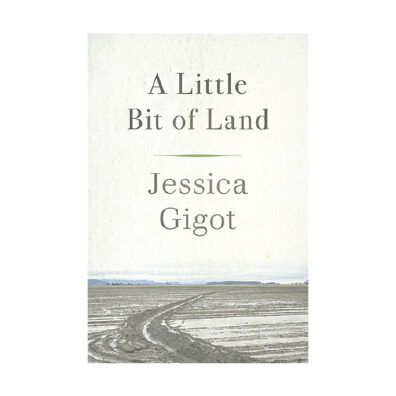 Book cover of A Little Bit of Land