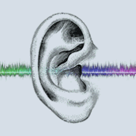 Animated illustration of a wave form going through an ear