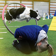 Dog jumps through a hoop on the back of a woman (Courtesy Debra Sellon)
