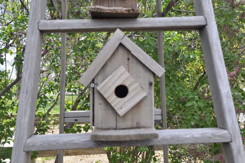 Yakima Master Gardeners