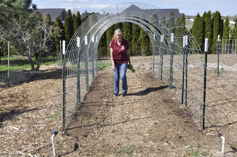 Yakima Master Gardeners