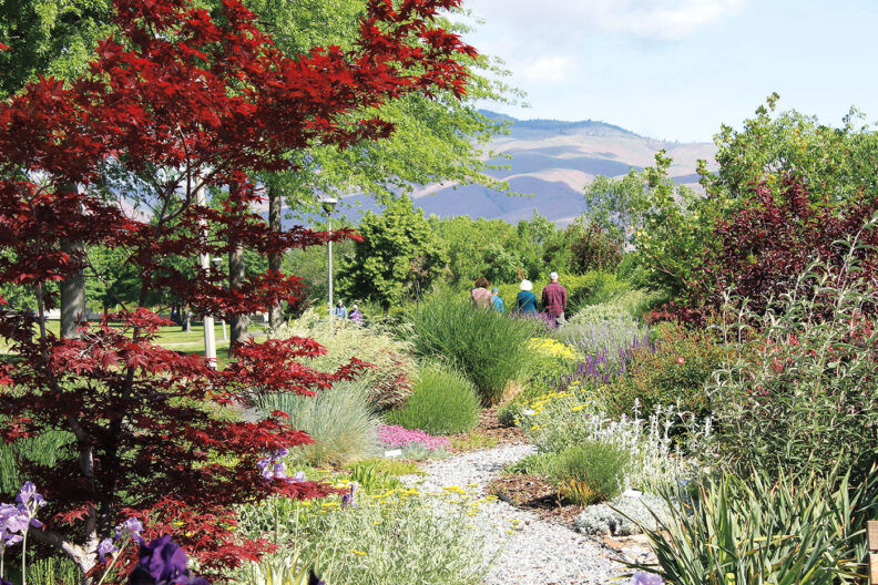 A gravel path winds through flowers, trees, and other plants