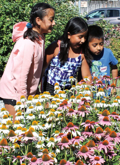 Three kids look at flowers