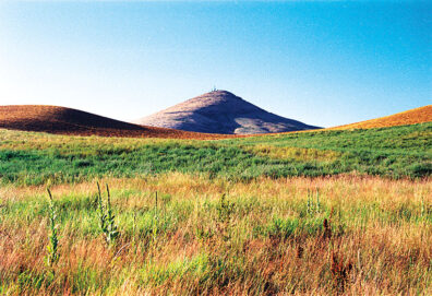 plants and native prairie with Steptoe Butte in the background