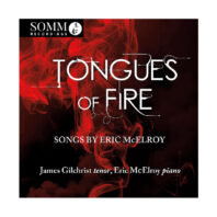 Cover of album Tongues of Fire by Eric McElroy