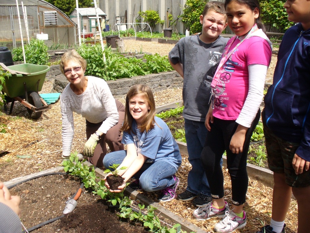 Hazel Dell Elementary school garden