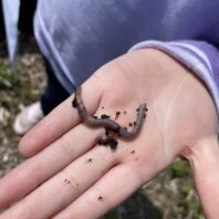 worm in student’s hand
