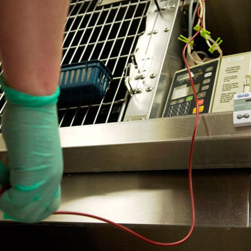 The blood hangs above Murray's cage