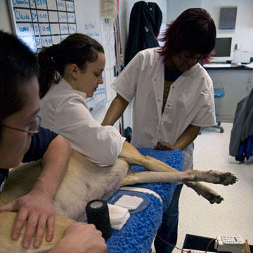 The pump only takes a few minutes to draw the blood