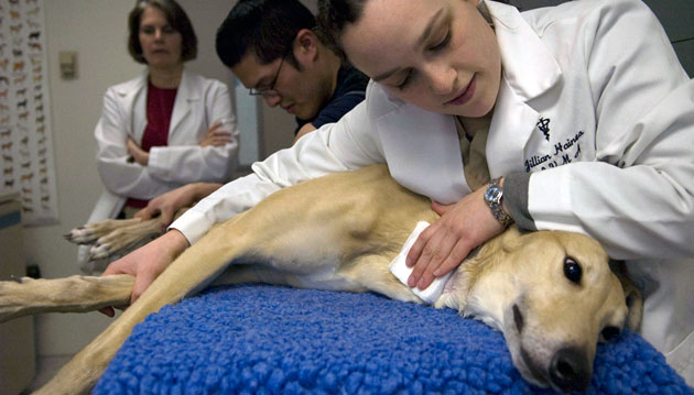 Haines comforts Jacob