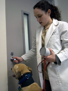 Jacob is taken back to his owner