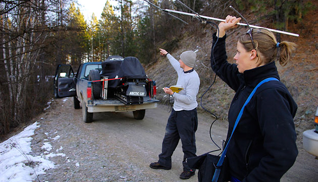 Wildlife technician Gabe Wilson '04 and graduate student Hilary Cooley try to pinpoint the location of a cougar based on the VHF radio signal from its collar.